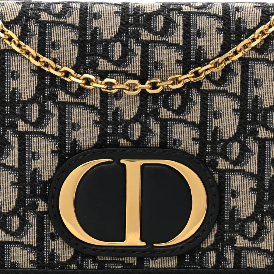 Dior Montaigne 30 2-in-1 Pouch Blue Dior Oblique Canvas Gold Hardware