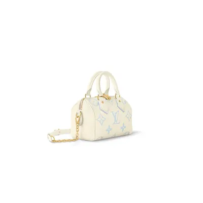 Louis Vuitton Bags Speedy