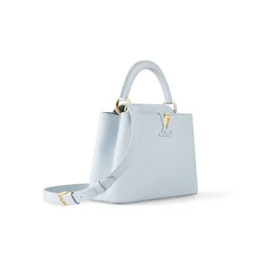 Louis Vuitton Bags Capucines