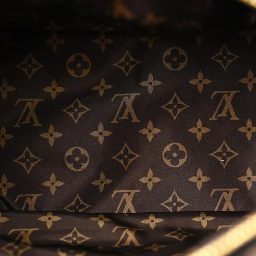 Louis Vuitton Mini Pillow Speedy Bandouliere 25 Black Econyl & Monogram Canvas Gold Hardware