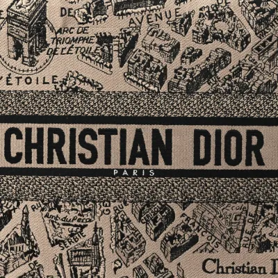 Dior Medium Plan De Paris Book Tote Beige/Black Embroidered Canvas