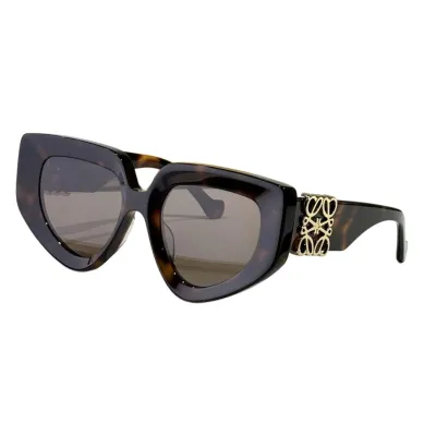 Loewe glasses grey/pink/tawny/leopard black/leopard brown/black silver/black gold/black brown color Size 51口19-145