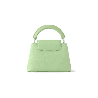 Louis Vuitton Bags Capucines