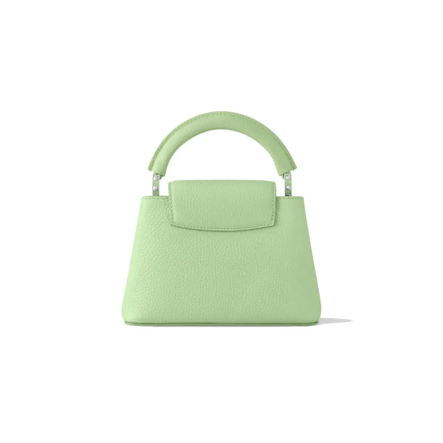 Louis Vuitton Bags Capucines