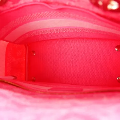 Dior Medium Toile De Jouy Lady D-Lite Fluorescent Pink Reverse Embroidered Canvas Gold Hardware