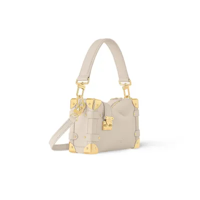 Louis Vuitton Bags Side Trunk