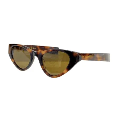 Saint Laurent Cat Eye glasses white/black/purple black/tawny/leopard black/leopard brown color Size 48口21-135