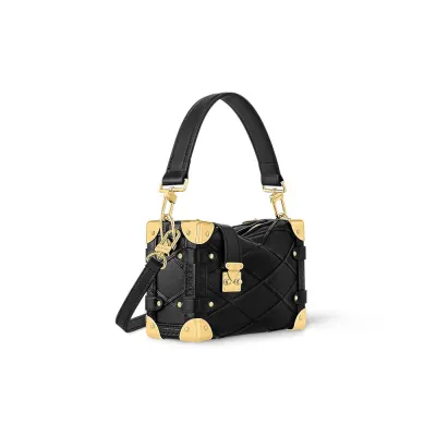 Louis Vuitton Bags Side Trunk