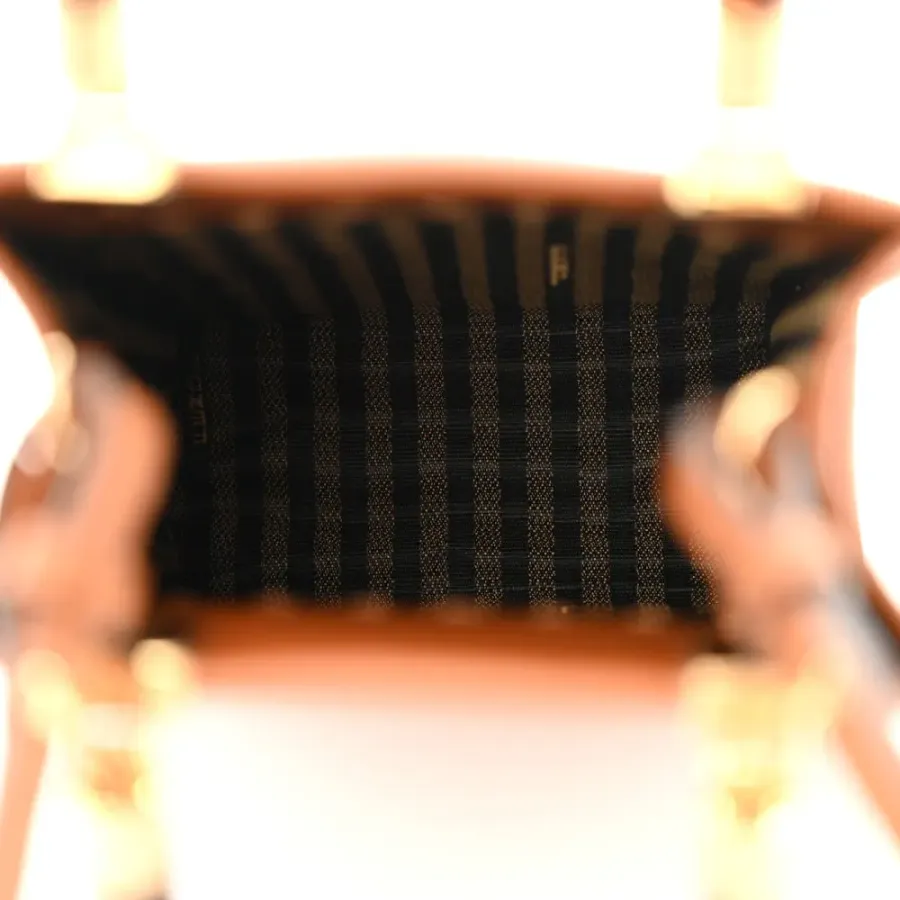 Fendi Mini Logo Embossed Fendi Sunshine Shopper Tote Cuoio King Vitello Leather & Plexiglass Gold Hardware