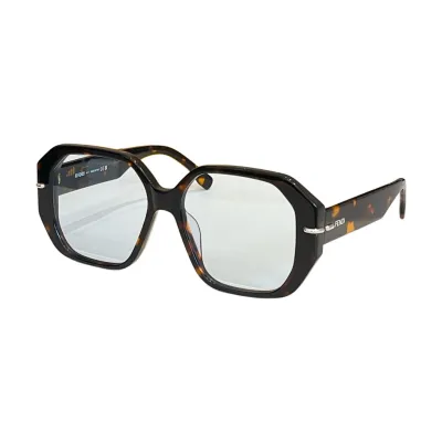 Fendi glasses black/grey/rust black/red/leopard/eggplant/transparent leopard/transparent black color Size 56口18-145