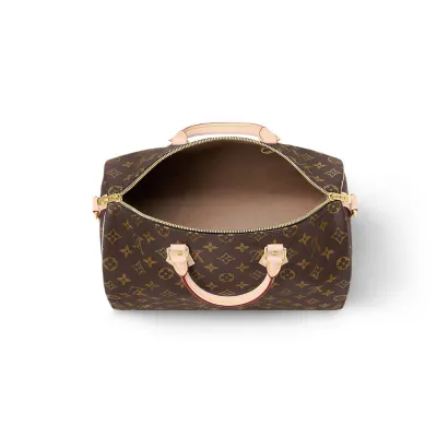 Louis Vuitton Bags Speedy