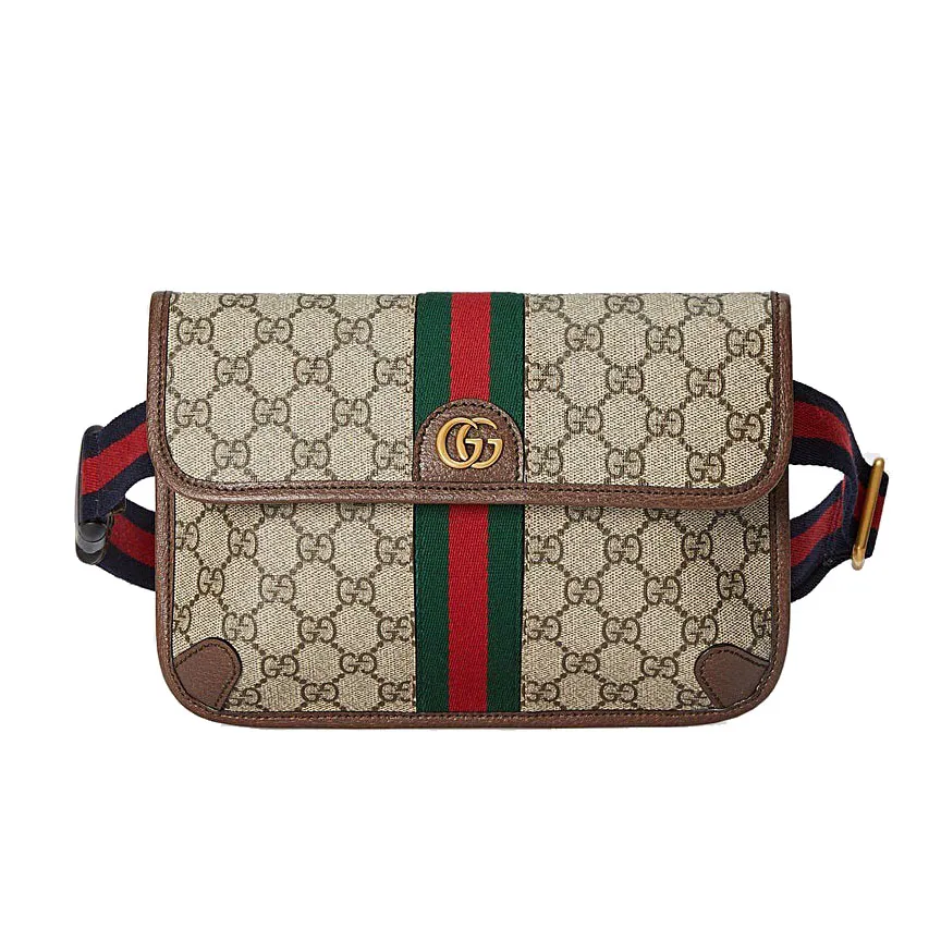 Gucci Bags Ophidia