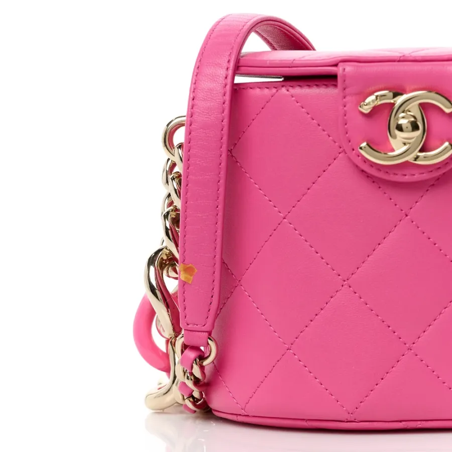 Chanel Elegant Chain Vanity Case Small Dark Pink Quilted Lambskin Leather & Resin Aged Gold Hardware