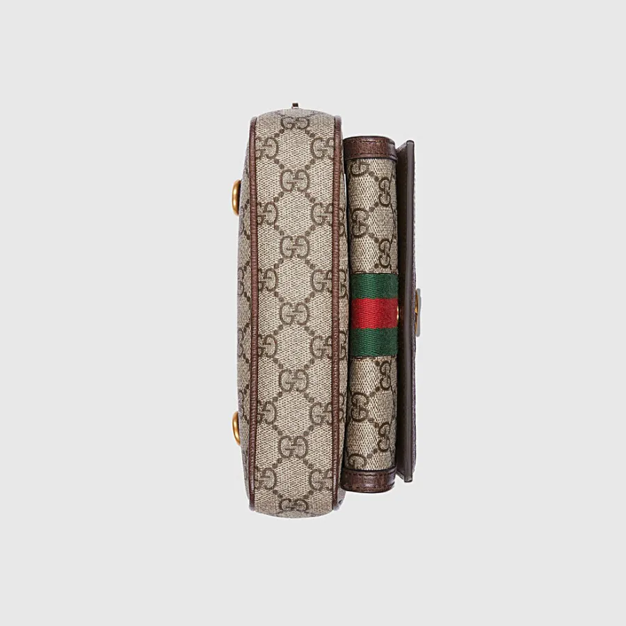 Gucci Bags Ophidia