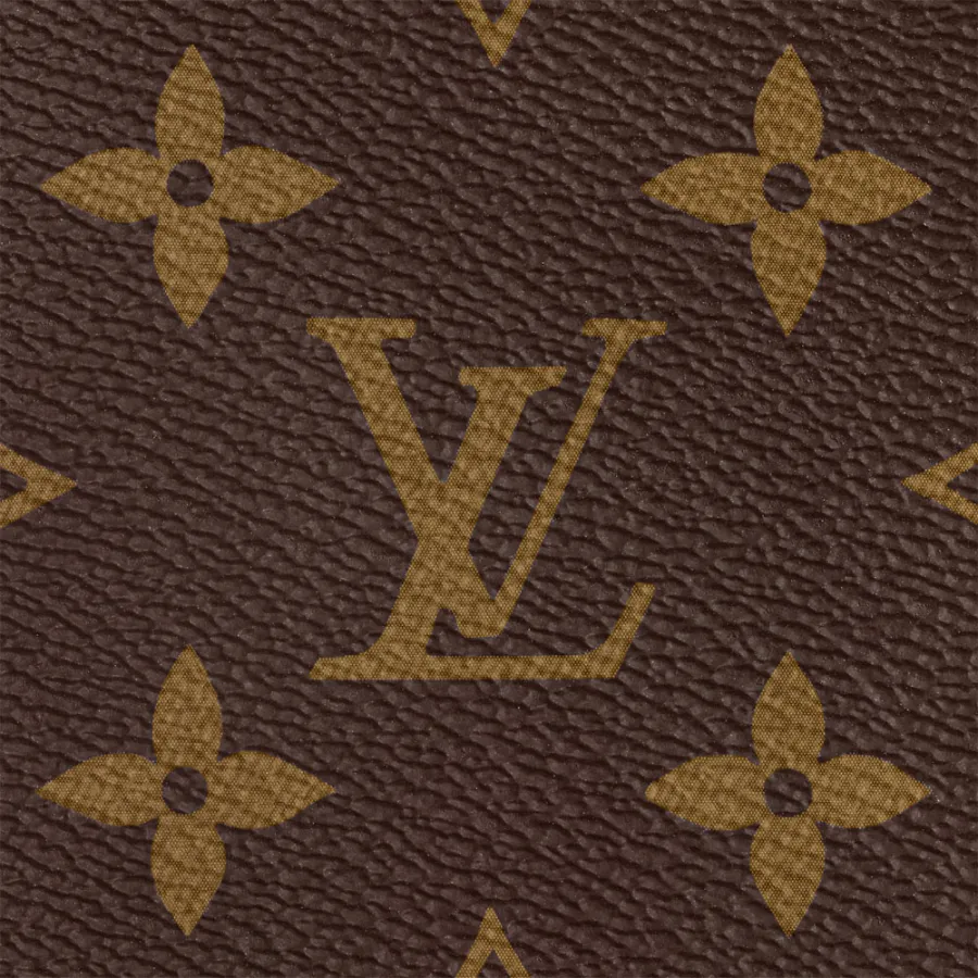 Louis Vuitton Bags Speedy