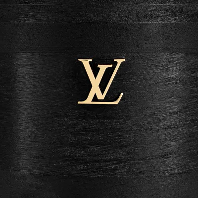 Louis Vuitton Chelsea black platform ankle boots