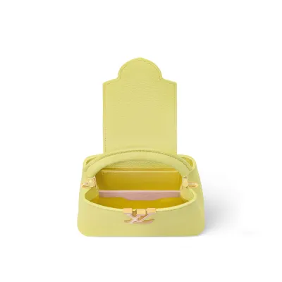 Louis Vuitton Bags Capucines