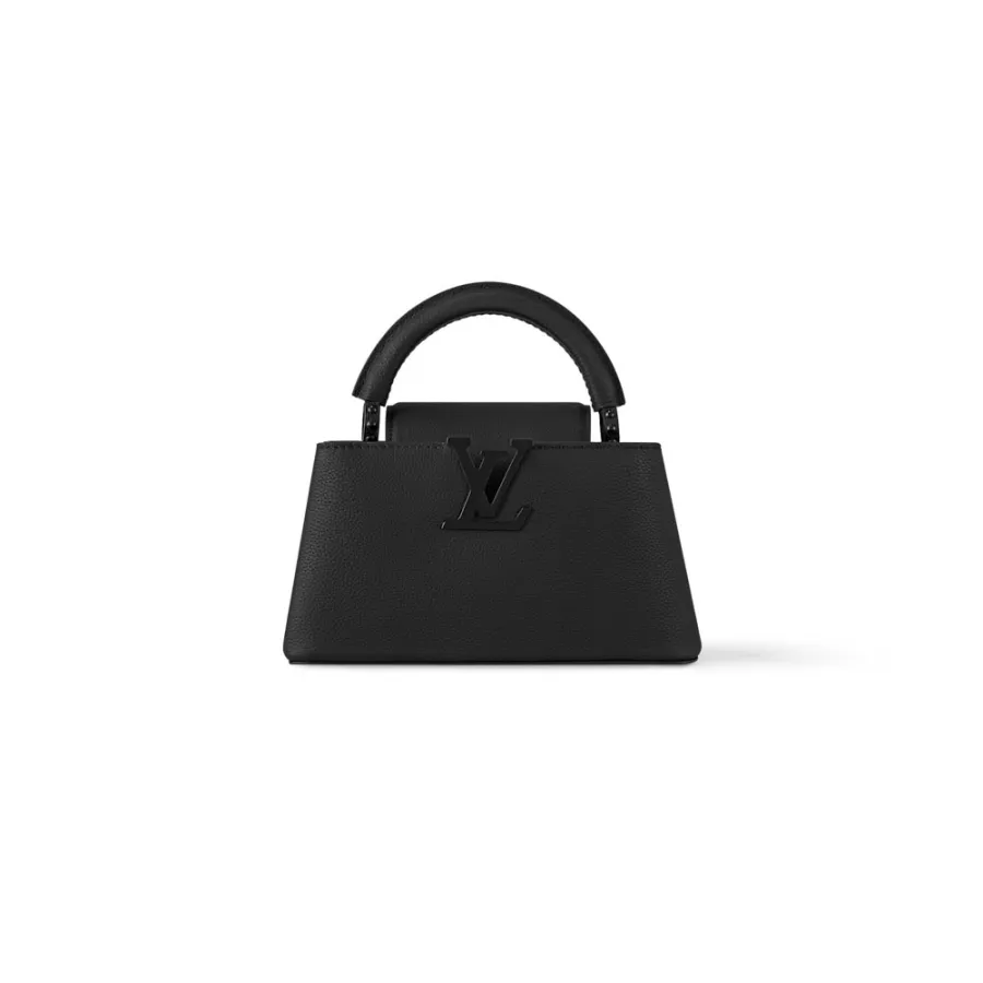 Louis Vuitton Bags Capucines