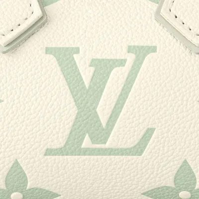 Louis Vuitton Bags Speedy