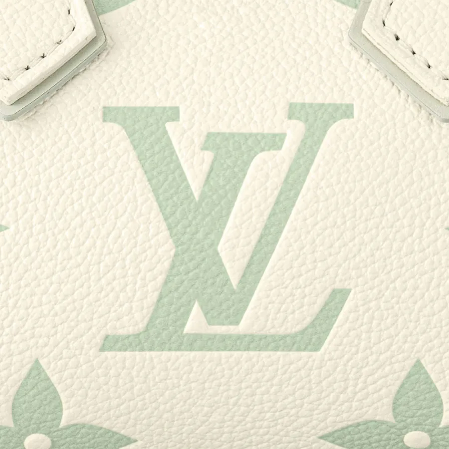Louis Vuitton Bags Speedy