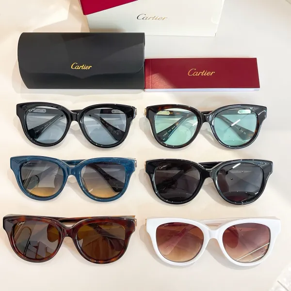Cartier Boston frame glasses black gold/leopard/blue/black silver/white/leopard brown color Size 55口19-140 - Image 8