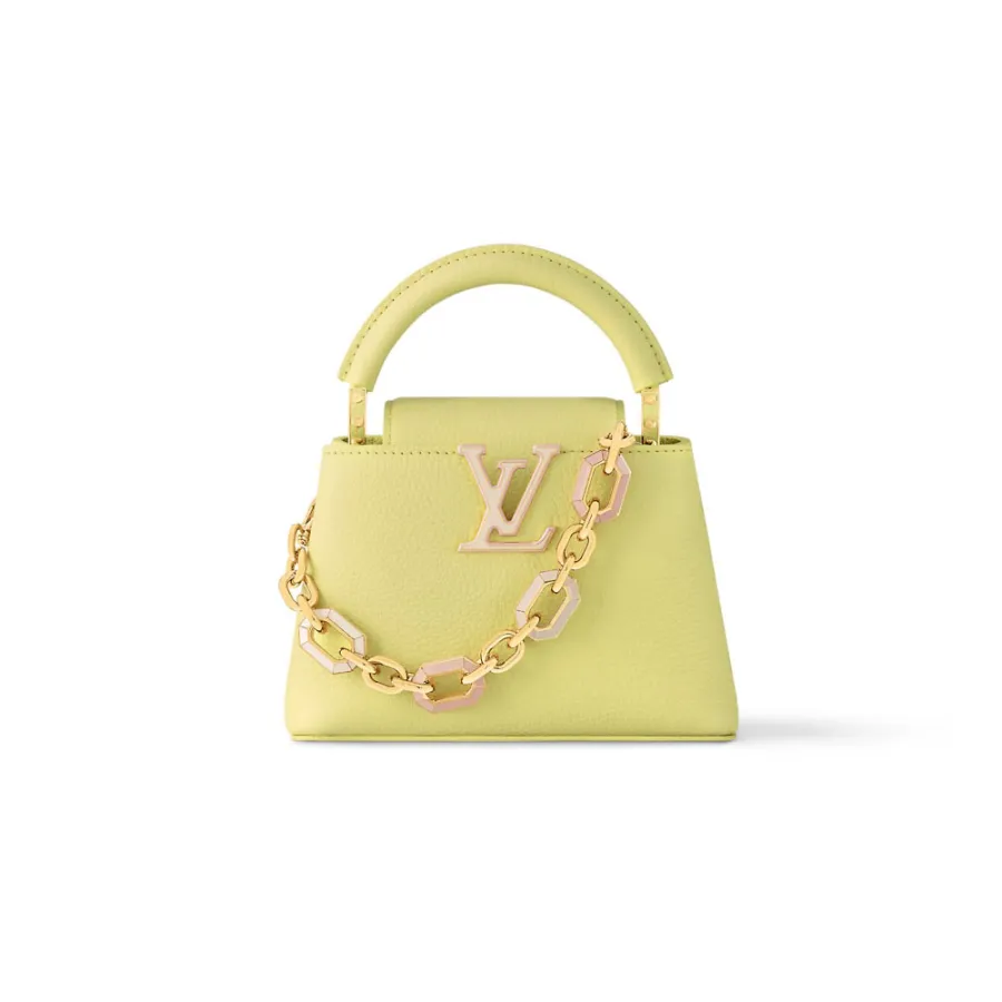 Louis Vuitton Bags Capucines