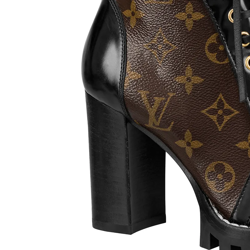 Louis Vuitton Chunky heels and ankle boots