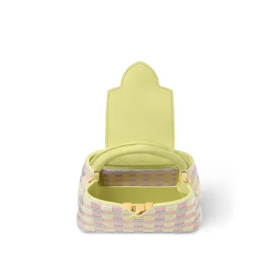 Louis Vuitton Bags Capucines