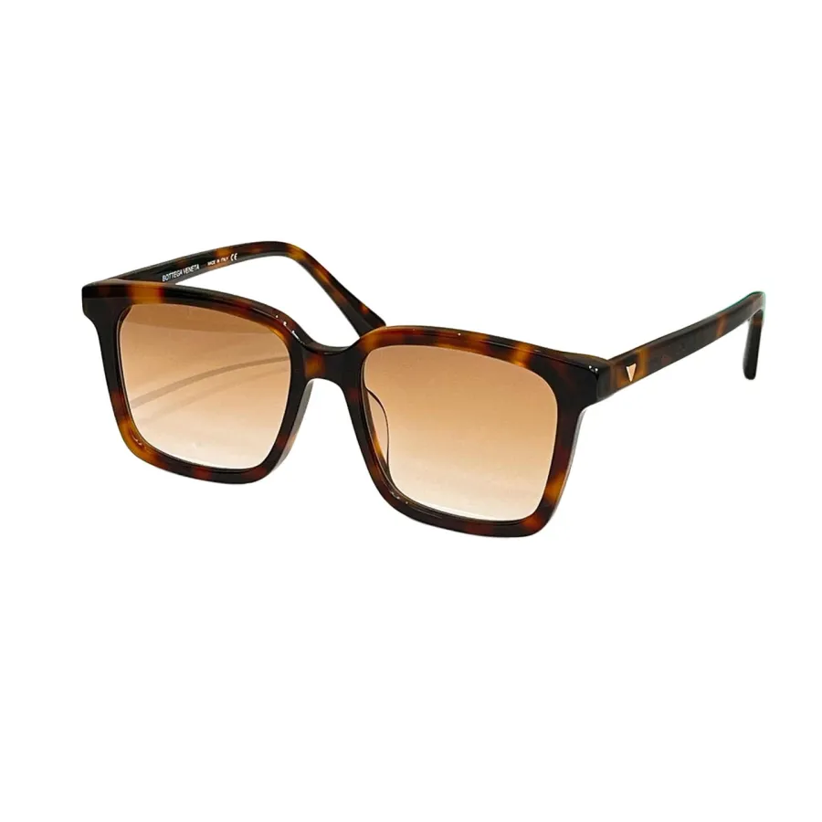 Bottega Veneta Wayfarer glasses brown leopard/black/black leopard/eggplant/grey/transparent black/black green color Size 54口18-145