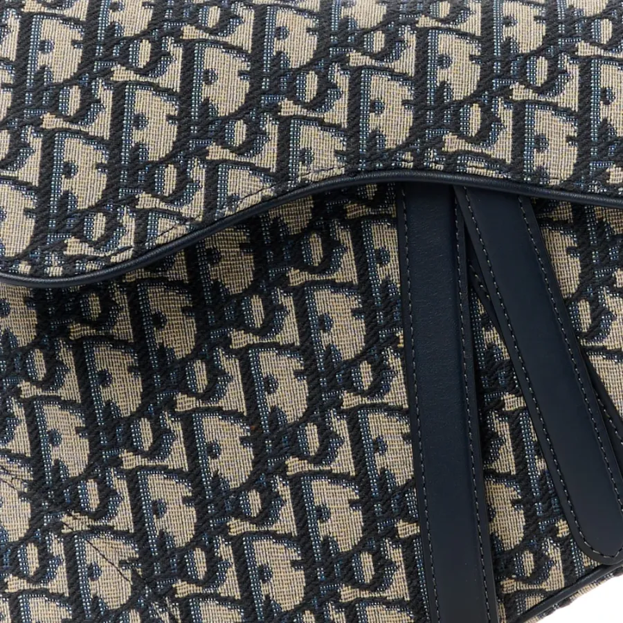 Dior Medium Saddle Bag Blue Oblique Canvas Brass Hardware