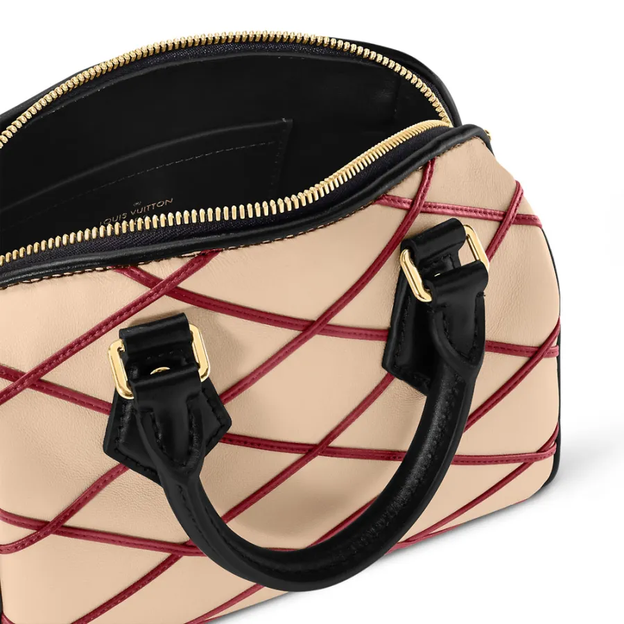 Louis Vuitton Bags Speedy