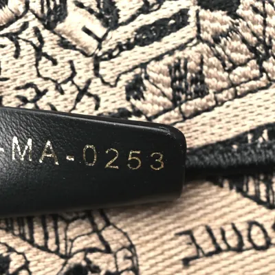 Dior Medium Plan De Paris Book Tote Beige/Black Embroidered Canvas