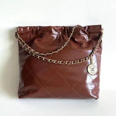 Chanel 22bags Brown Earth Color / Apricot Color Shoulder Bags