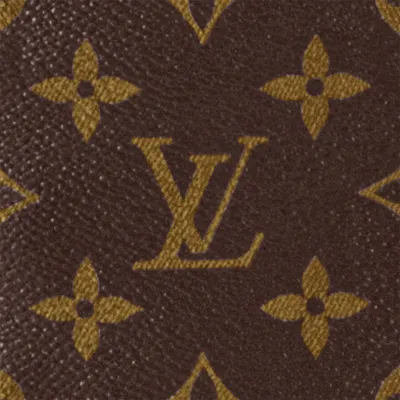 Louis Vuitton Bags Christopher