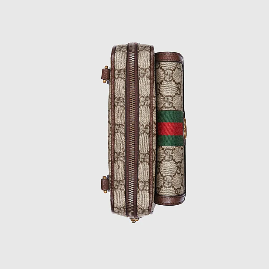 Gucci Bags Ophidia