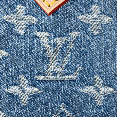 Louis Vuitton Bags Speedy