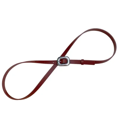 Bottega Veneta Women's Chain Link Belt In Red Calfskin With Gold/Silver Hardware 12mm