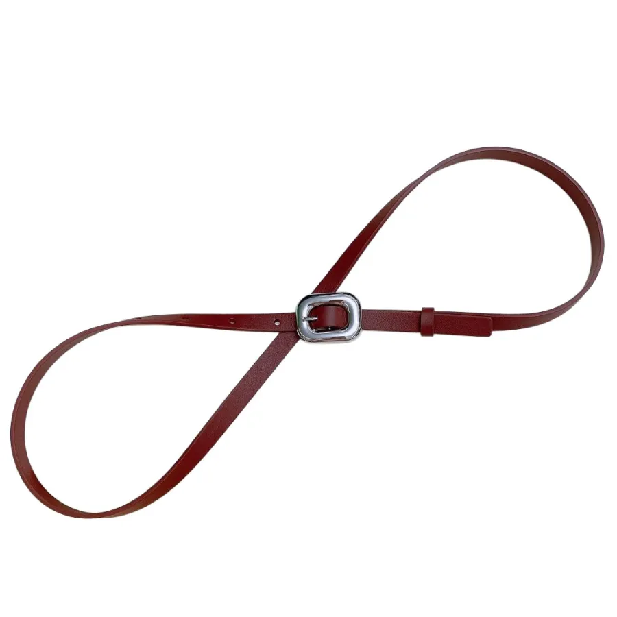 Bottega Veneta Women's Chain Link Belt In Red Calfskin With Gold/Silver Hardware 12mm