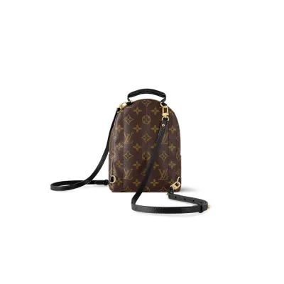 Louis Vuitton Bags Palm Springs