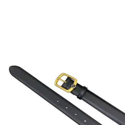 Gucci Women's Rectangular Buckle Belt In Black/Coffee/Brown/Red Smooth Calfskin With Gold Hardware 30mm