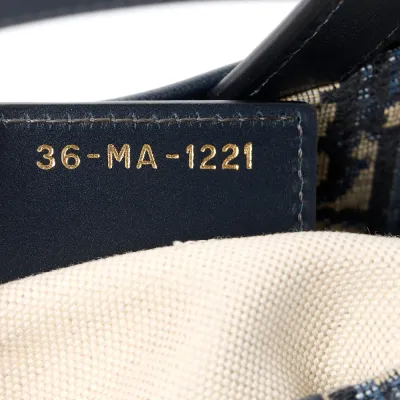 Dior Medium Saddle Bag Blue Oblique Canvas Brass Hardware