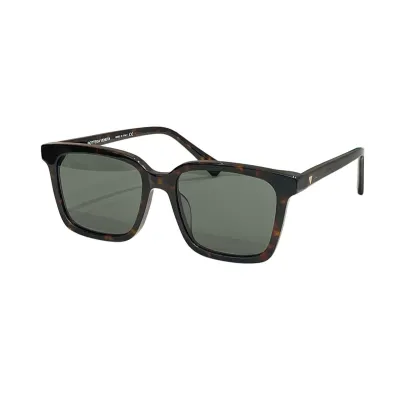 Bottega Veneta Wayfarer glasses brown leopard/black/black leopard/eggplant/grey/transparent black/black green color Size 54口18-145