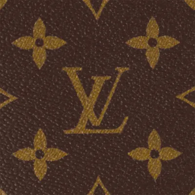 Louis Vuitton Bags Sac Plat