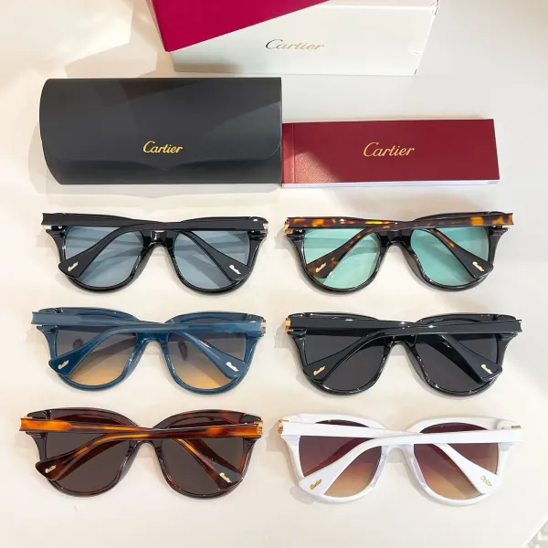 Cartier Boston frame glasses black gold/leopard/blue/black silver/white/leopard brown color Size 55口19-140 - Image 9