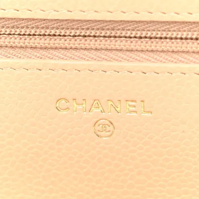 Chanel Wallet On Chain | Luxury Handbags