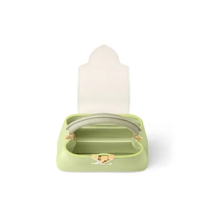 Louis Vuitton Bags Capucines