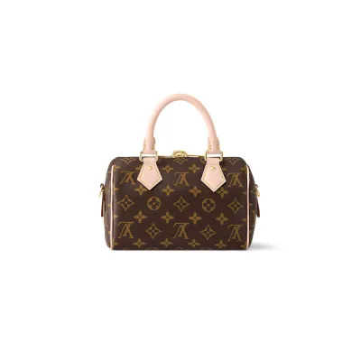 Louis Vuitton Bags Speedy