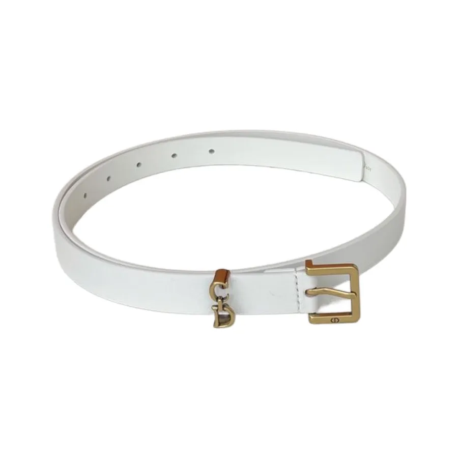 Dior Women' s Square Buckle Loop Belt In Black/White/Khaki Calfskin With Gold/Silver Hardware 20mm