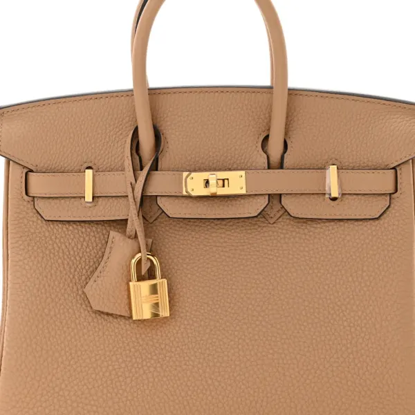 Hermès Birkin 25 Chai Togo Leather Gold Hardware - Image 9