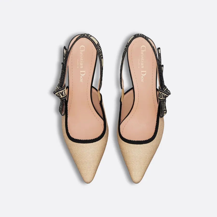 Dior pointy heels high heels shoes